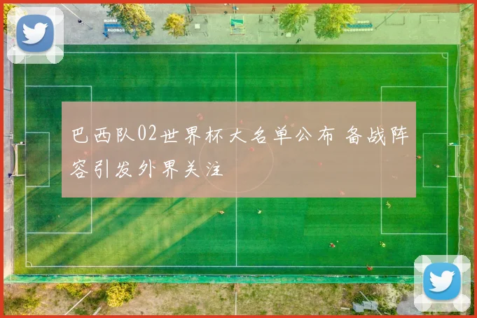 巴西队02世界杯大名单公布 备战阵容引发外界关注