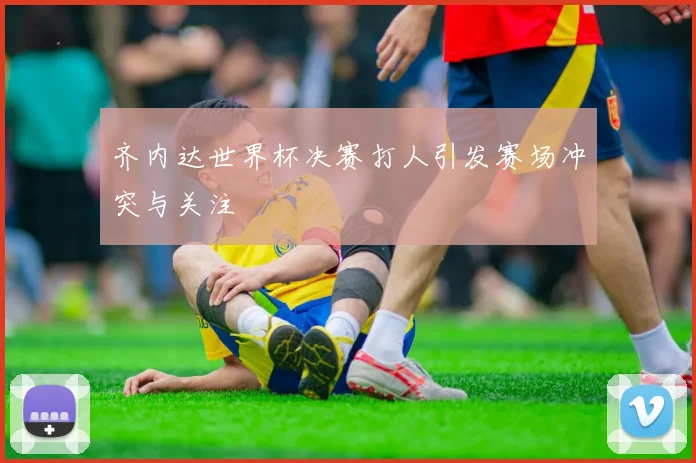 齐内达世界杯决赛打人引发赛场冲突与关注