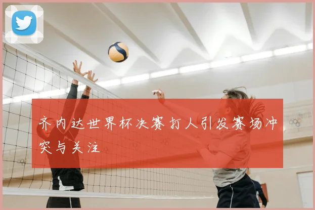 齐内达世界杯决赛打人引发赛场冲突与关注